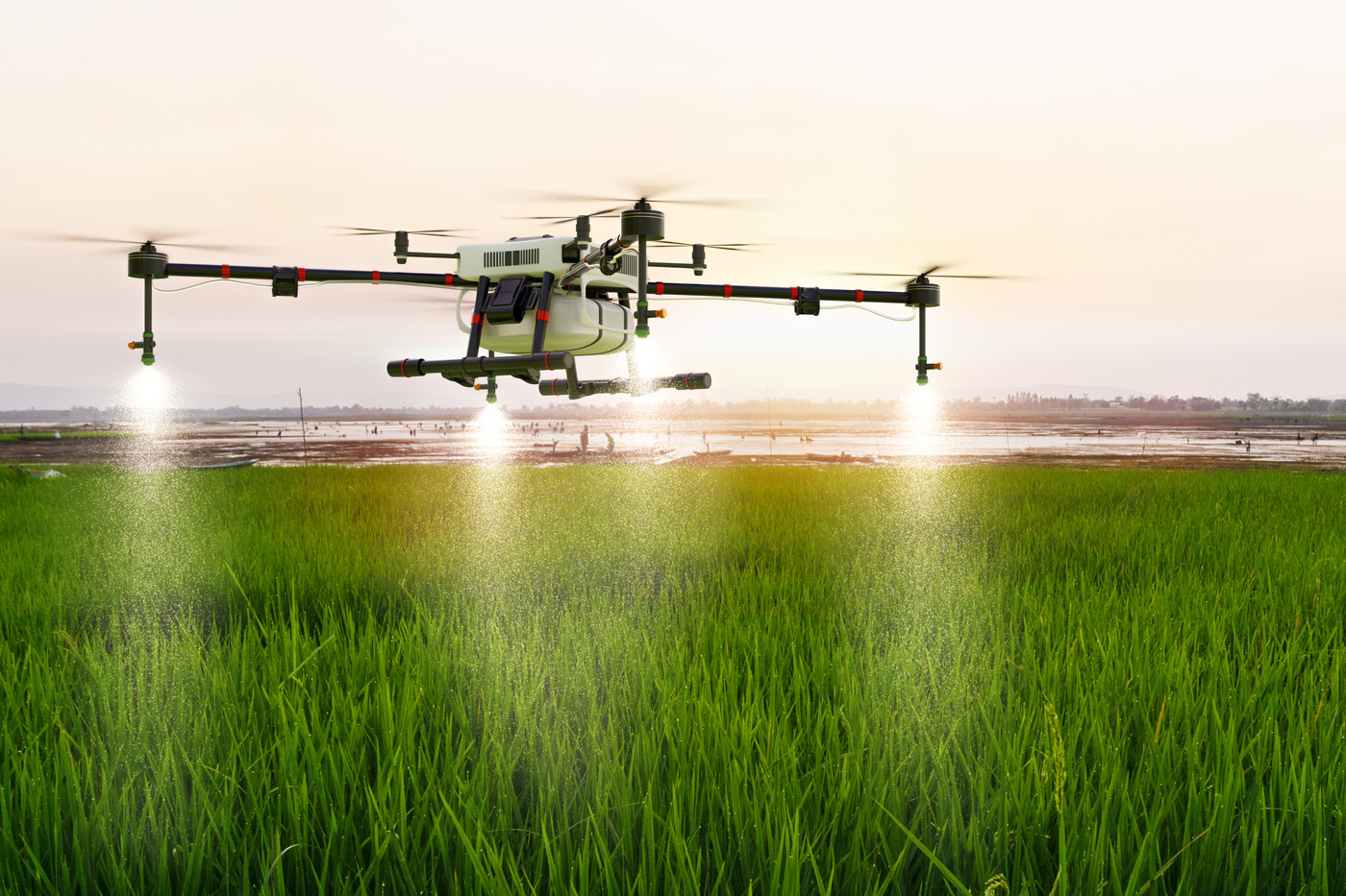 A multi-rotor drone flying low over a green field at sunrise