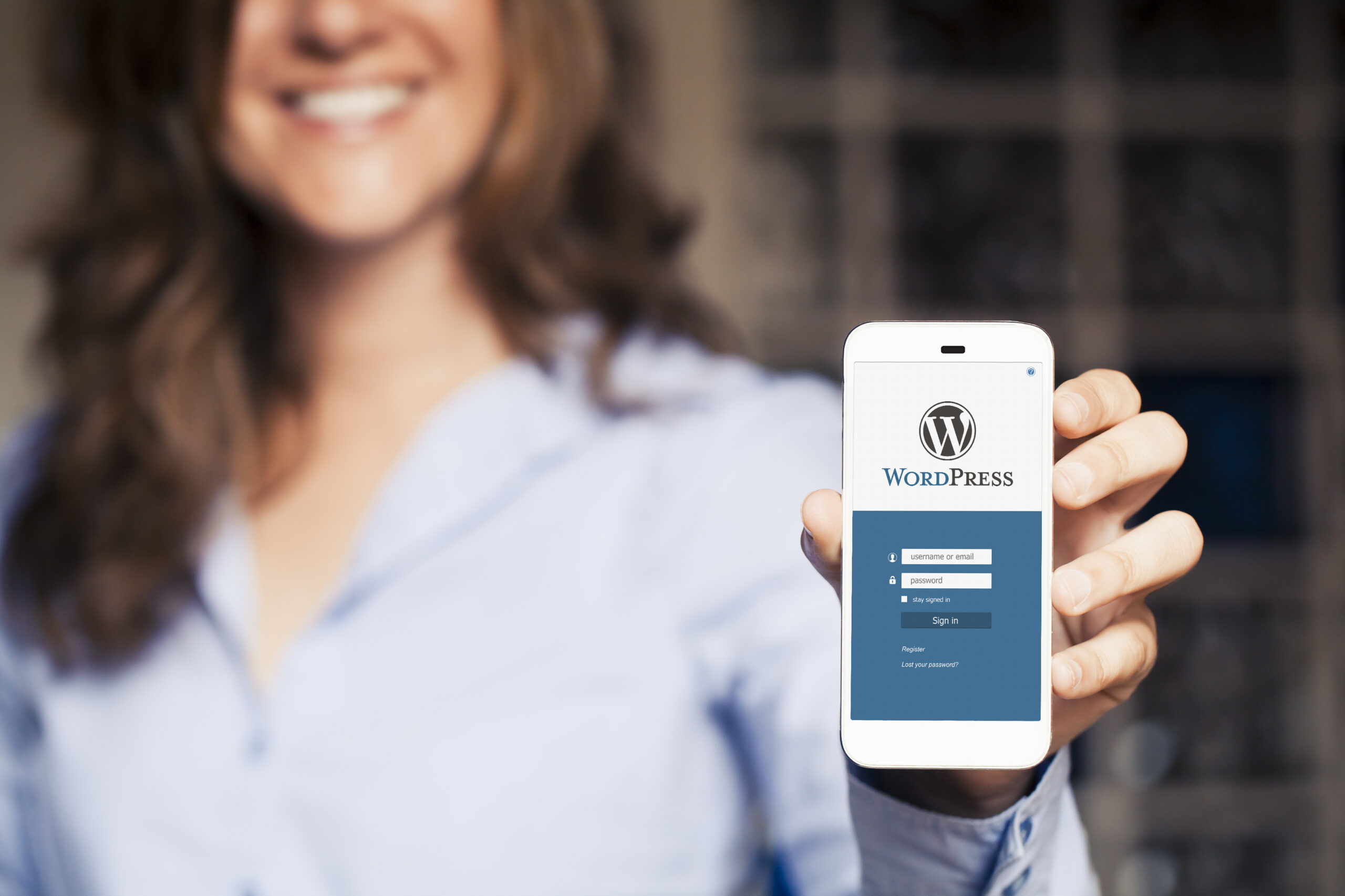 What Should You Look for in a Wordpress Theme